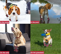 Waterproof Dog Shoes by Snagg A Shoes
