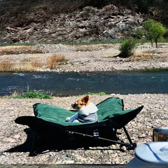 Outdoor Camping Foldable Pet Bed by Snagg A Pet Lounge