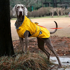 Waterproof Puppy Dog Raincoat by Snagg A Raincoat