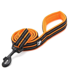 Soft Padded Reflective Dog Leash by Snagg A Leash
