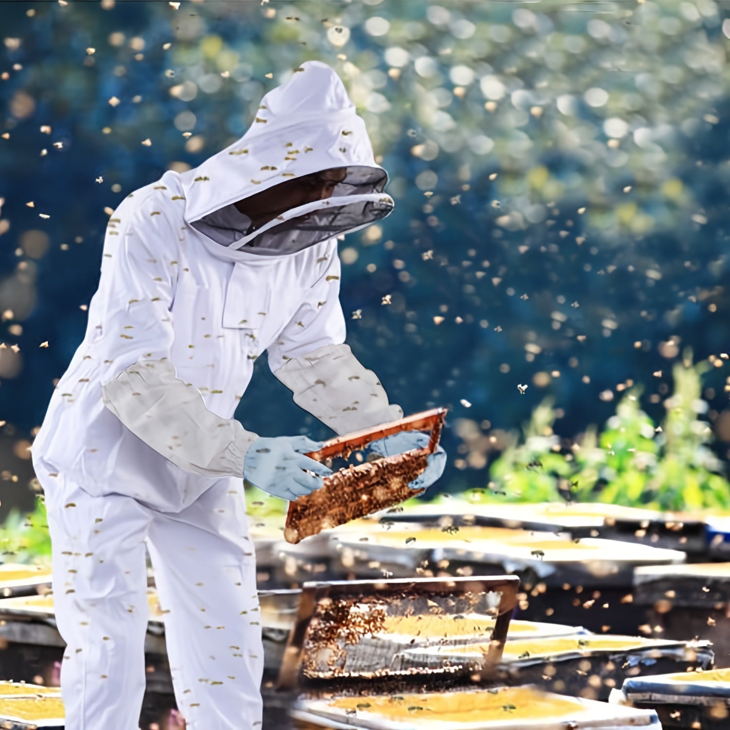 Professional Beekeeping Suit by Snagg A Beekeeping Suit