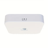 LED Motion Sensor Ceiling Light by Snagg A Ceiling Light