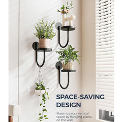 3pcs Black Wall Plant Holders by Snagg A Wall Planter