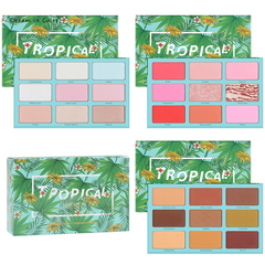 Professional 27 Color 3 in 1 Face & Eye Artistry Collection – Modular Contour, Highlighter & Blush Mega Palette