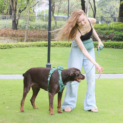 Corduroy Dog Walking Set - SnaggIt
