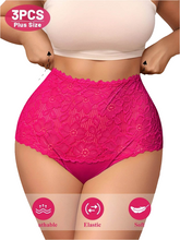 3-Pack Plus Size High-Waist Panties by Snagg An Underwear