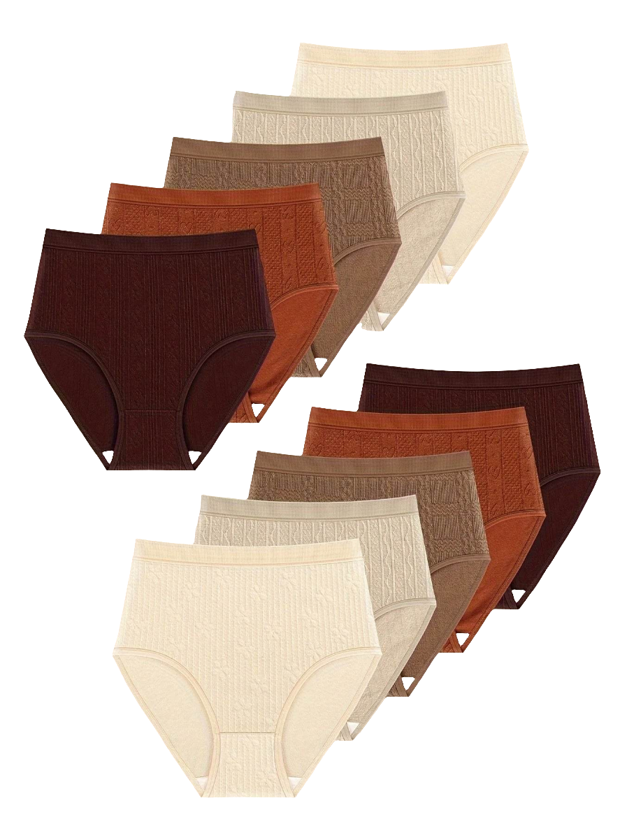 10pcs Elegant Women’s High-Waist Briefs by Snagg An Underwear