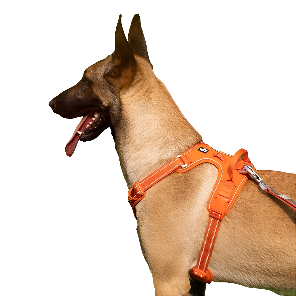 Tactical Orange Dog Harness by Snagg A Harness