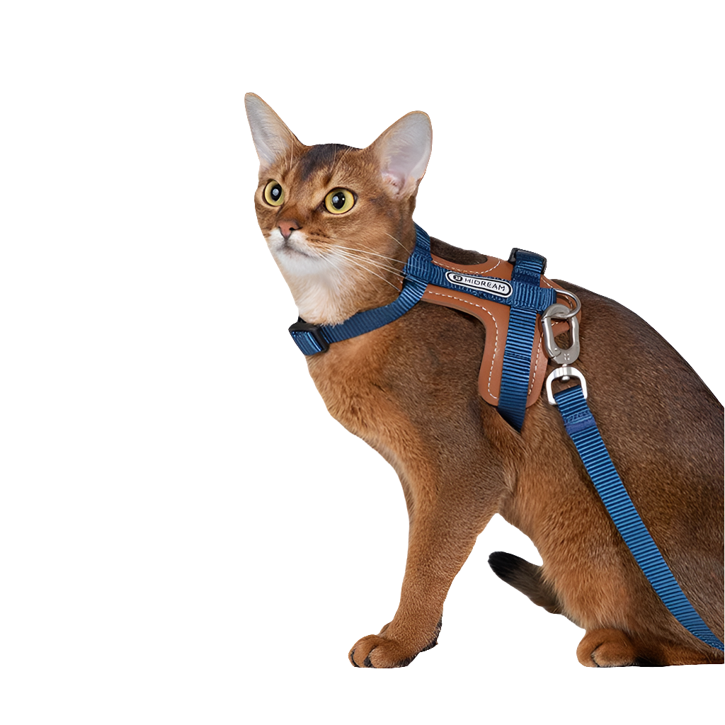 Travel Cat Harness & Leash Set by Snagg A Harness