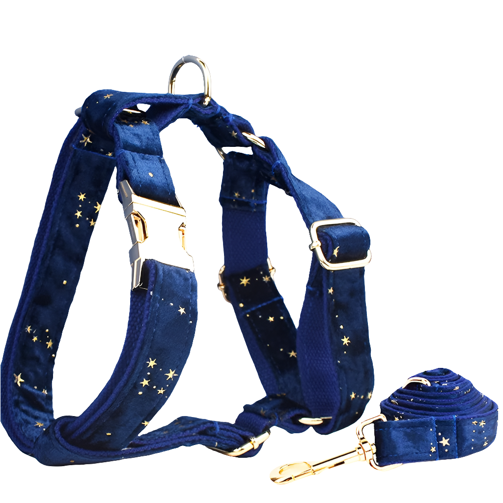 Heavy Duty Dog Harness & Leash Set by Snagg A Harness
