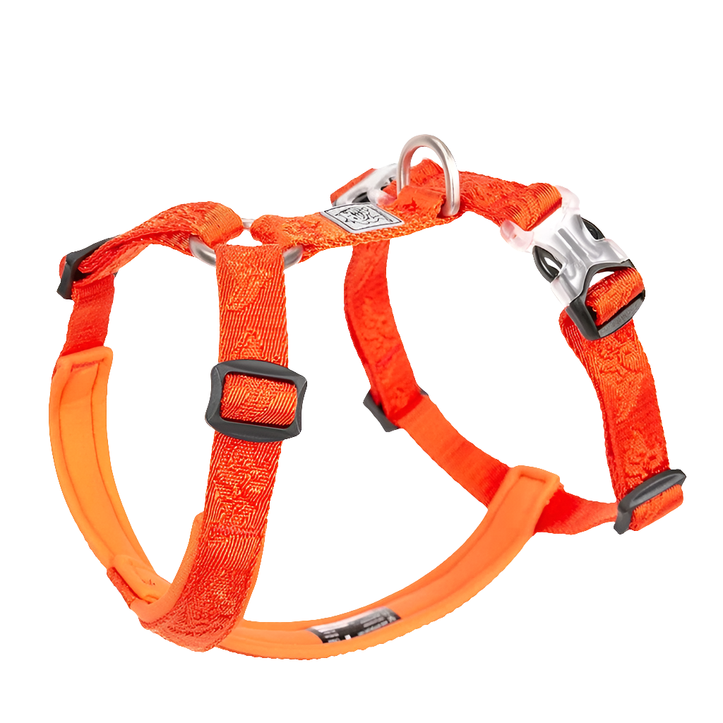 Orange No Pull Dog Harness by Snagg A Harness