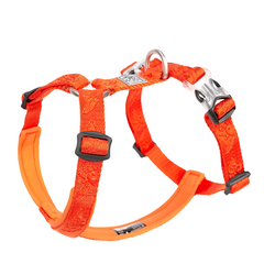Orange No Pull Dog Harness by Snagg A Harness