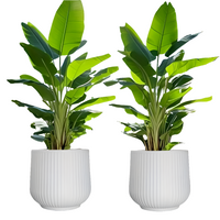 2pcs Resin Flower Pots with Drainage by Snagg A Pot