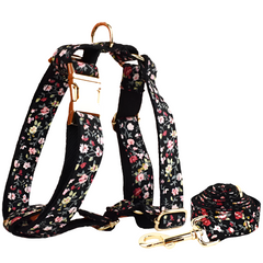 Heavy Duty Dog Harness & Leash Set by Snagg A Harness