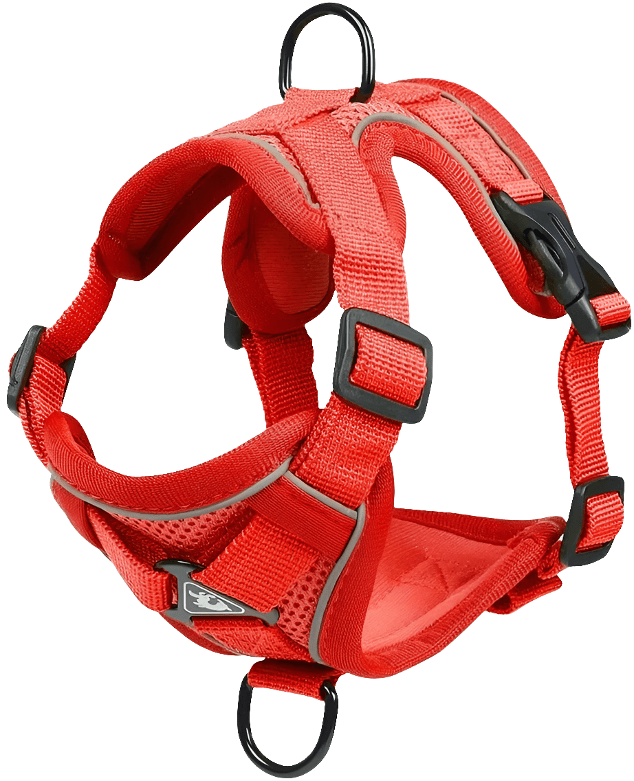 Cat Harness and Leash Set - SnaggIt