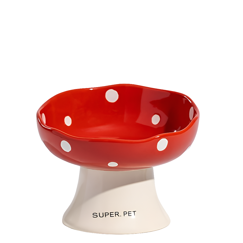 Elevated Ceramic Cat Bowl by Snagg A Feeder