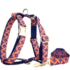 Heavy Duty Dog Harness, Collar & Leash Set by Snagg A Harness