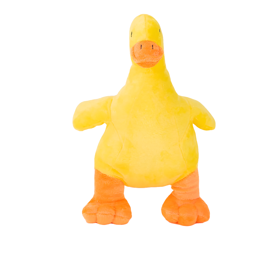 Plush Squeaky Pet Toy by Snagg A Toy