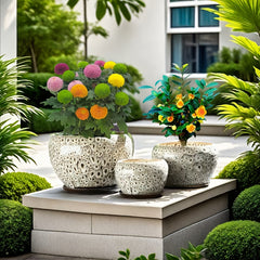 3pcs Decorative Flower Pots with Trays by Snagg A Pot