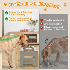 Elevated Dog Bowl Stand with 2 Stainless Steel Bowls by Snagg A Feeder