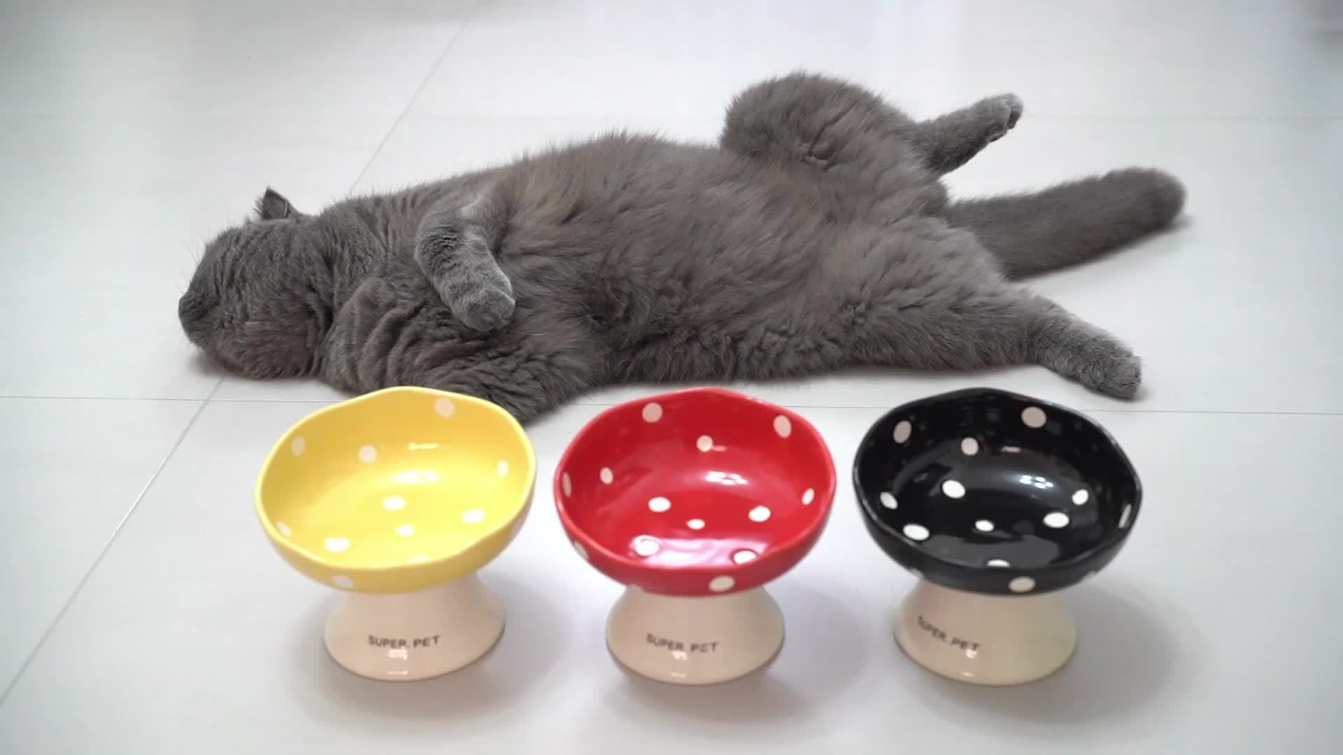 Elevated Ceramic Cat Bowl by Snagg A Feeder
