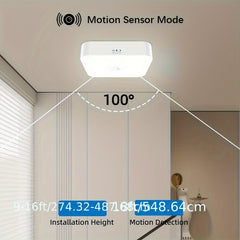 LED Motion Sensor Ceiling Light by Snagg A Ceiling Light