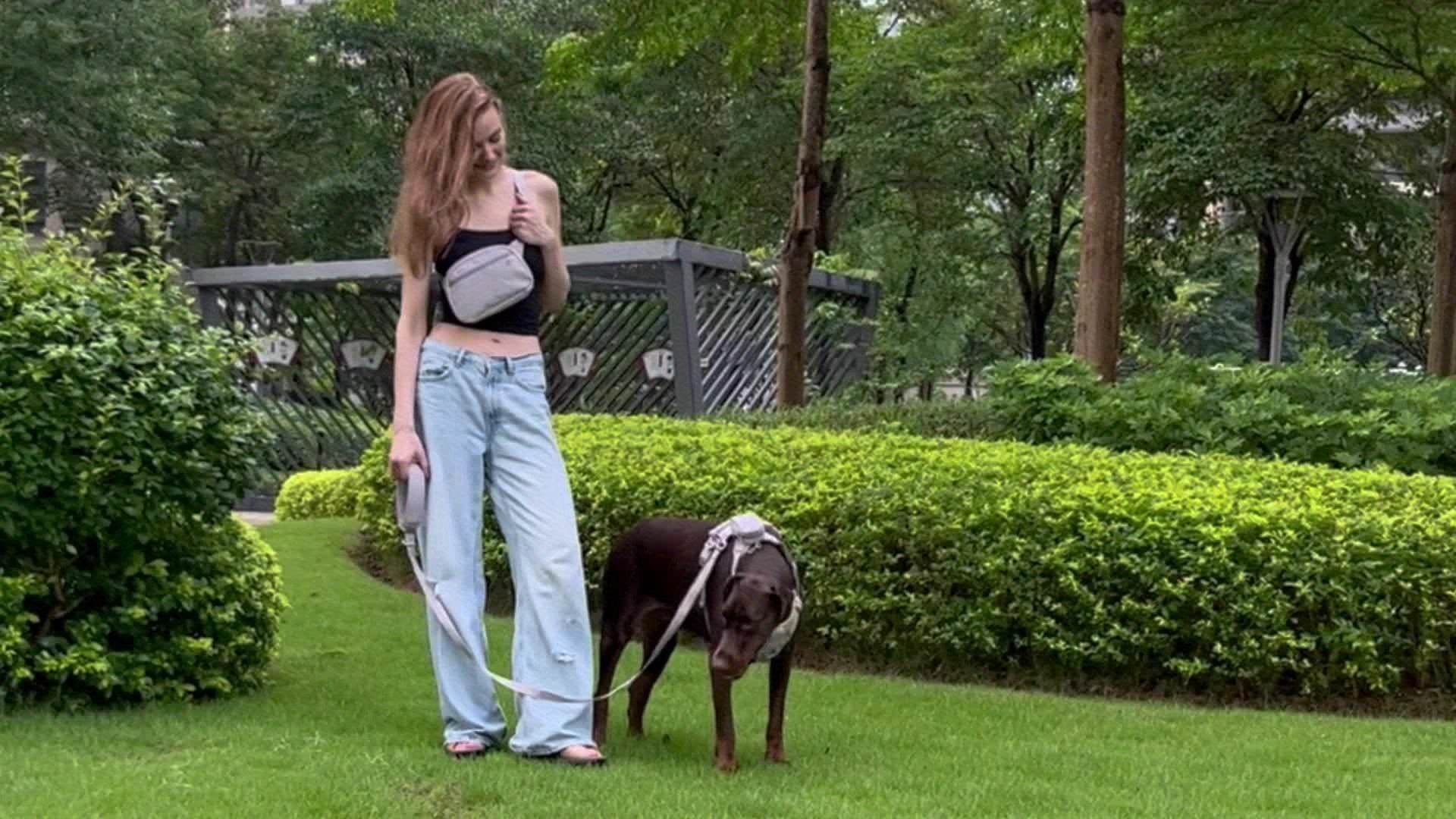 Corduroy Dog Walking Set - SnaggIt