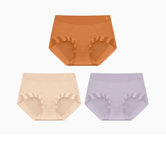 Seamless Antibacterial Briefs | 3-Pack Breathable Stretch Comfortable Women's Panties