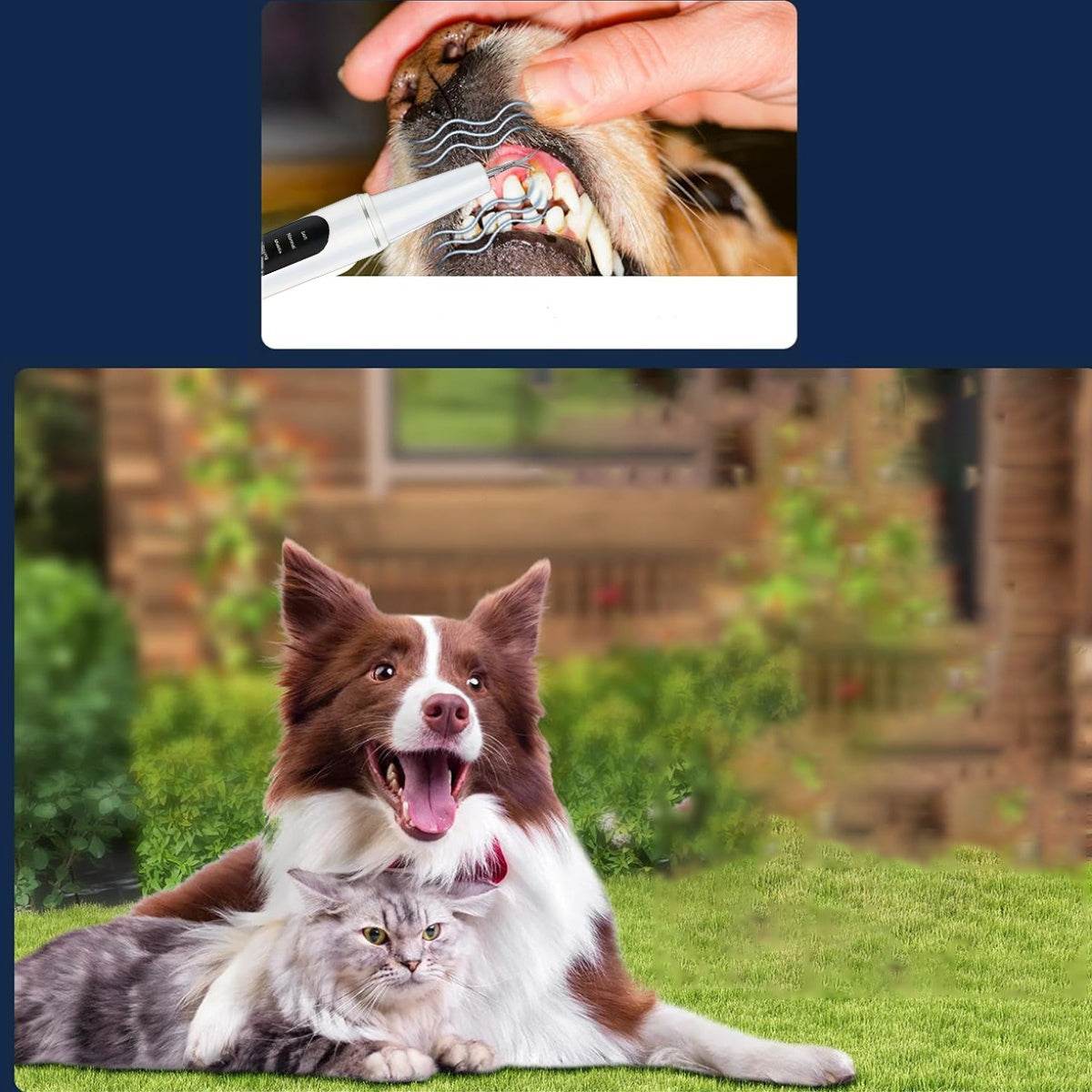 1pc Pet Oral Care Electric Tooth Cleaner - SnaggIt