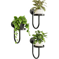 3pcs Black Wall Plant Holders by Snagg A Wall Planter