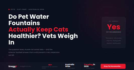 Do Pet Water Fountains Actually Keep Cats Healthier? What Vets Say
