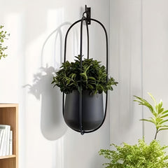 Classic Iron Wall Hanging Planter by Snagg A Wall Planter