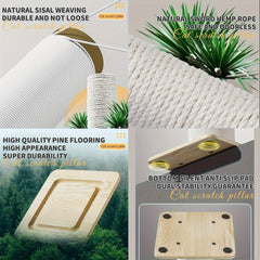 Cat Scratching Post With Sisal Rope with Hanging Play Ball - SnaggIt