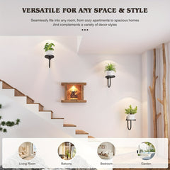 3pcs Black Wall Plant Holders by Snagg A Wall Planter