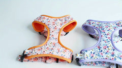 Pet Print Chest Harness 3-in-1 Set by Snagg A Harness