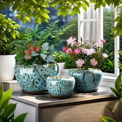3pcs Decorative Flower Pots with Trays by Snagg A Pot