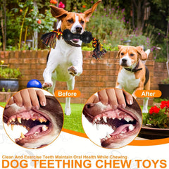 6PCS Durable Dog Chew Toy Set - SnaggIt