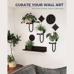 3pcs Black Wall Plant Holders by Snagg A Wall Planter