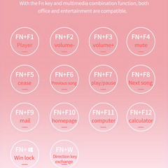 Pink Mechanical Keyboard – Retro Punk Keycaps with Blue Switches by Snagg A Keyboard