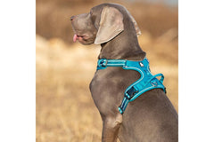 Blue Tactical Dog Collar & Leash Set by Snagg A Harness