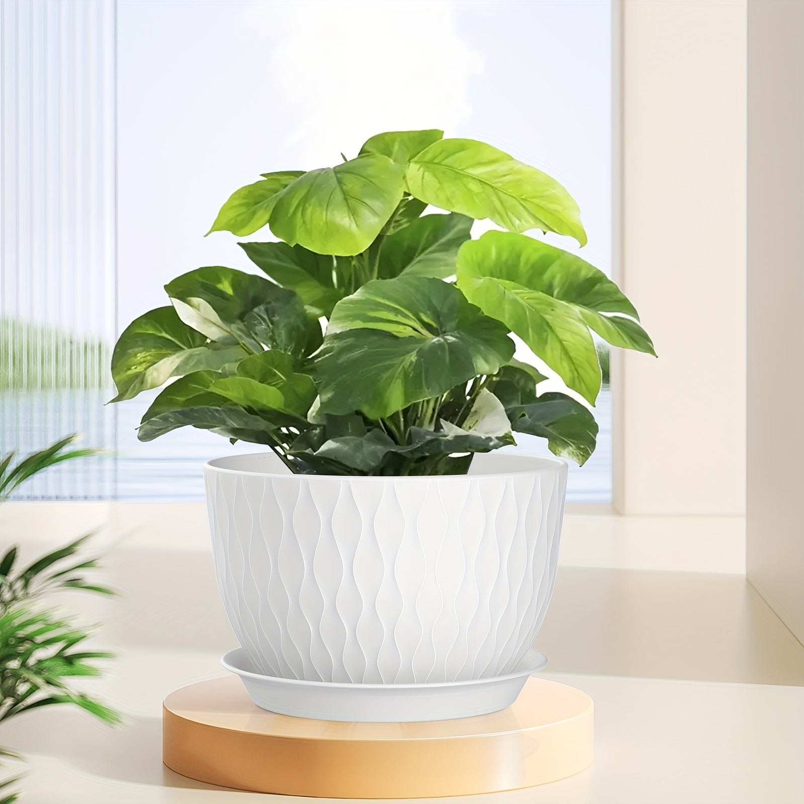 3pcs 12" Plastic Planters with Trays by Snagg A Pot