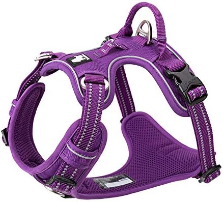 Purple Tactical Dog Collar & Leash Set by Snagg A Harness