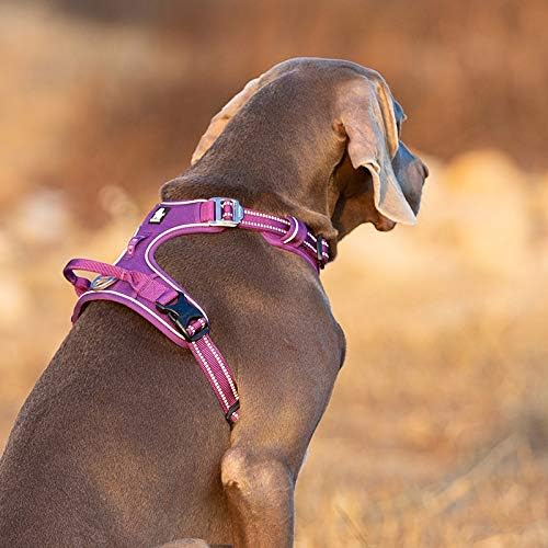 Purple Tactical Dog Collar & Leash Set by Snagg A Harness