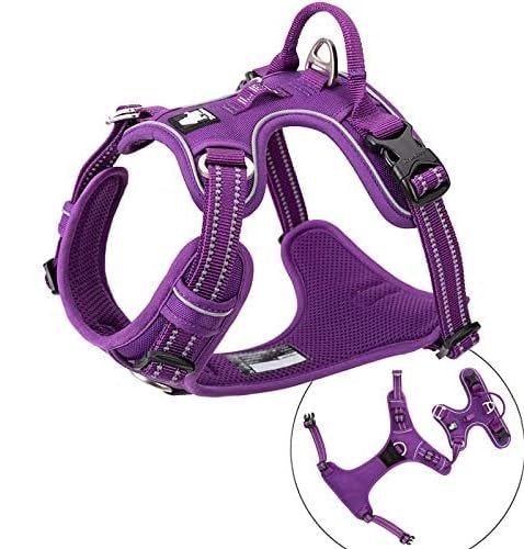 Purple Tactical Dog Collar & Leash Set by Snagg A Harness