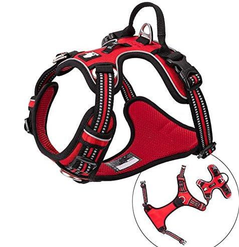 Red Tactical Dog Collar & Leash Set by Snagg A Harness