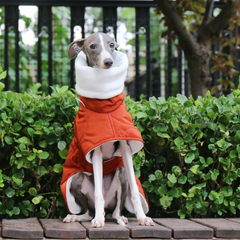 Winter Quilted Turtle Neck Dog Coat