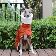 Winter Quilted Turtle Neck Dog Coat