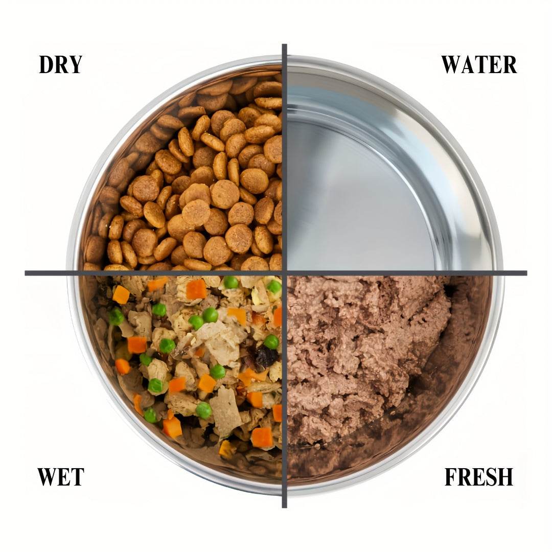 3pcs Raised Cat Bowls - SnaggIt