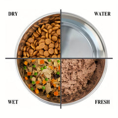 3pcs Raised Cat Bowls - SnaggIt