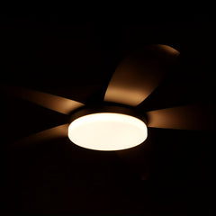 52" Outdoor Ceiling Fan with Light & Remote by Snagg A Fan